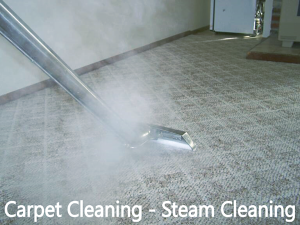 Carpet Steam Cleaners