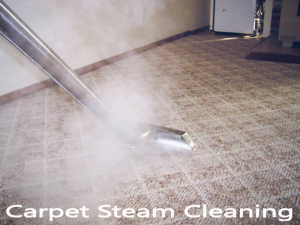 Dirt Free Carpet Steam Cleaning 