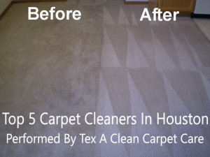 Professional Carpet Cleaning