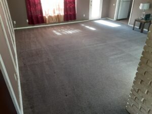 Carpet Cleaned