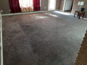 Carpet Cleaned