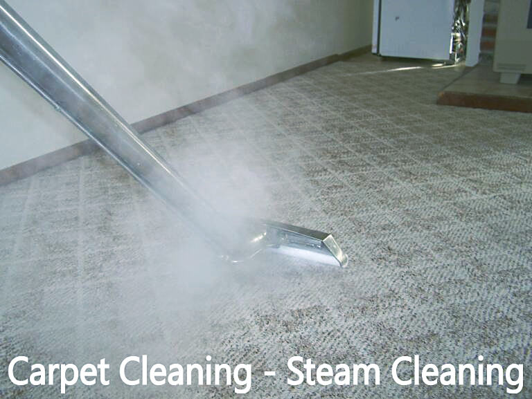 Carpet cleaning in houston TX