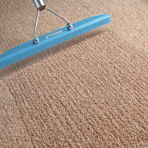 Carpet cleaning deals 