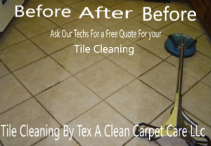 Carpet Cleaner Service 