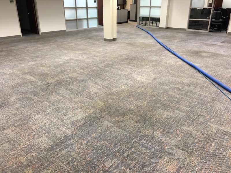 Commercial Carpet Cleaners in Houston, TX
