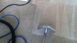 Best Deal Carpet Steam Cleaning 