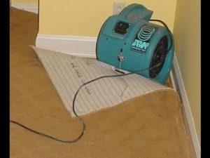 Carpet Water Extraction 