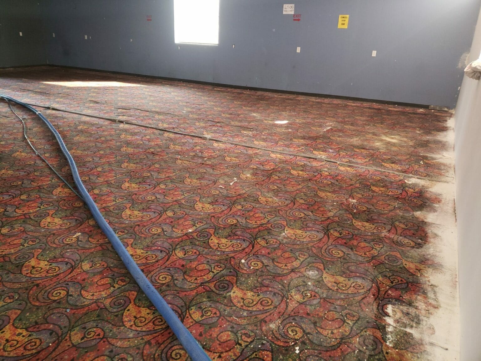 Houston Carpet Cleaning Service - Carpet Cleaner Houston - Tex A Clean ...